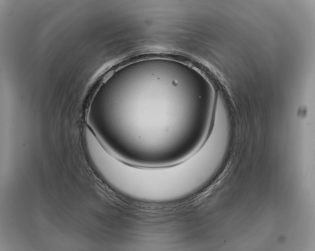 X0000097601314200803141908