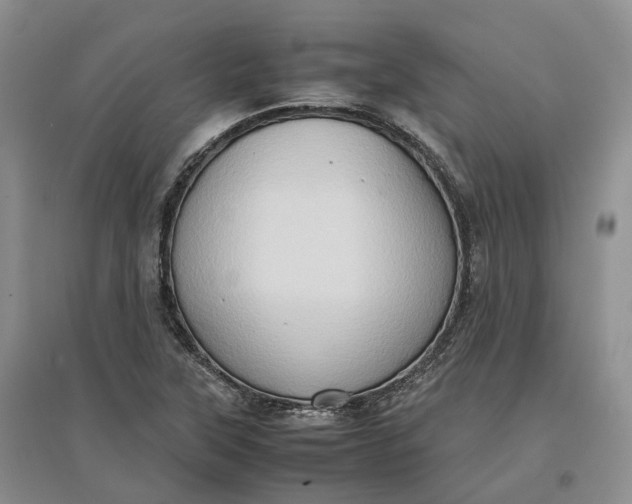 X0000097601315200803141908