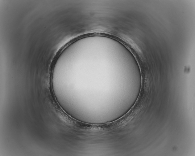 X0000097601316200803141908