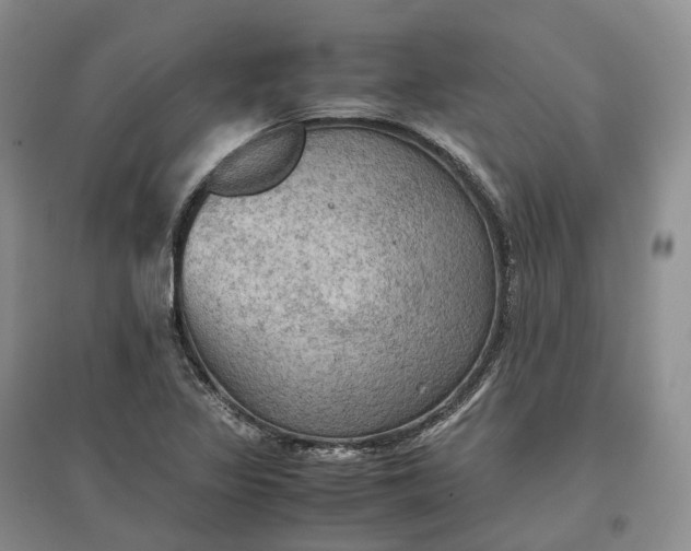 X0000097601317200803141908