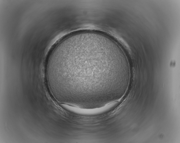X0000097601318200803141908