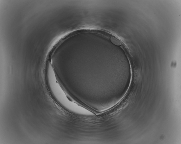 X0000097601319200803141908