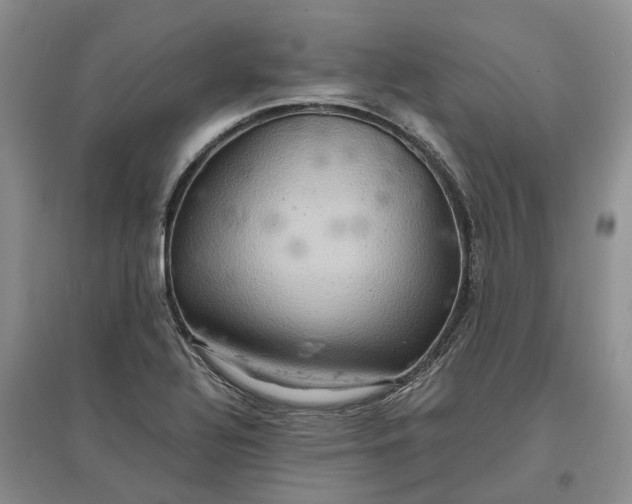 X0000097601320200803141908