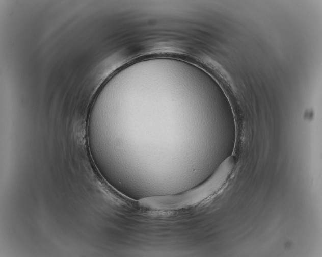 X0000097601321200803141908