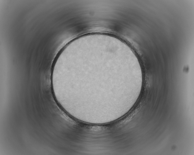 X0000097601322200803141908