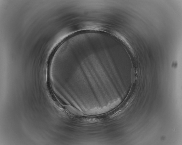 X0000097601323200803141908
