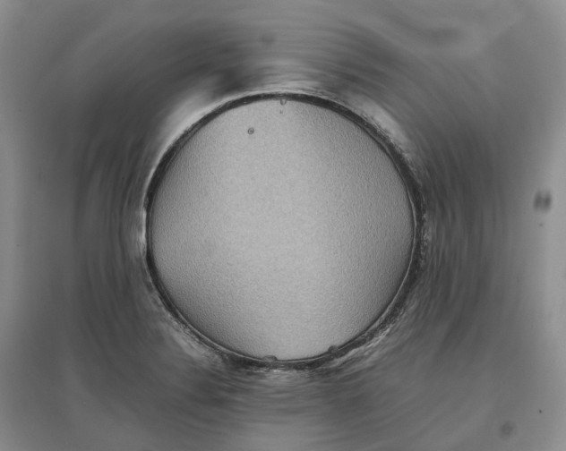 X0000097601324200803141908