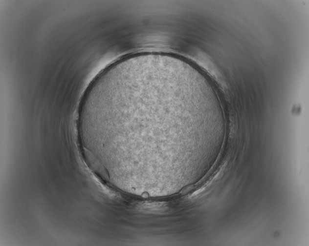 X0000097601325200803141908