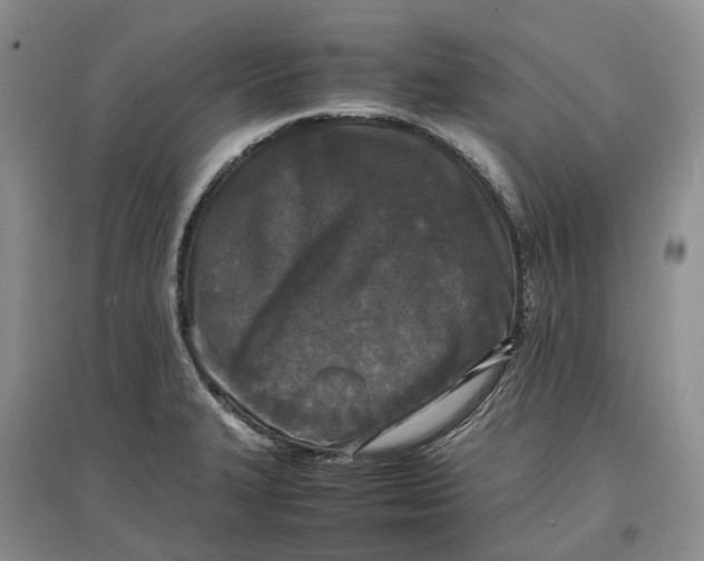 X0000097601327200803141908