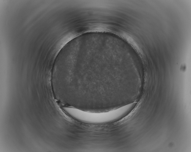 X0000097601329200803141908