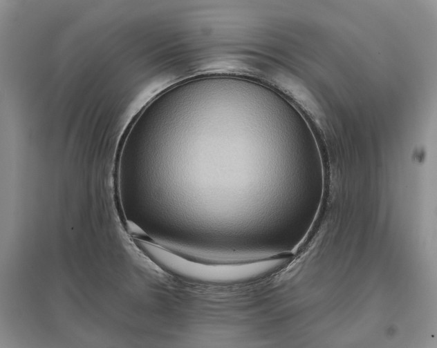 X0000097601330200803141908