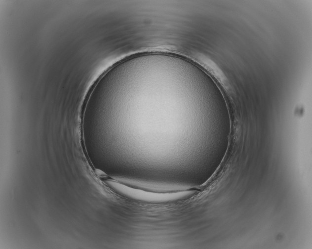X0000097601332200803141908