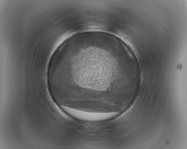 X0000097601333200803141908