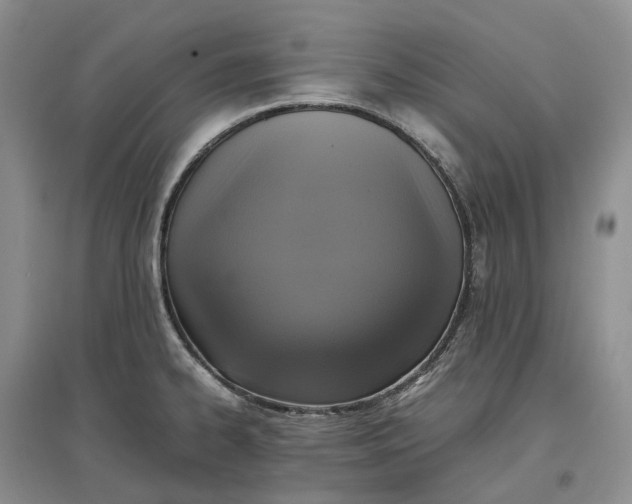 X0000097601334200803141908