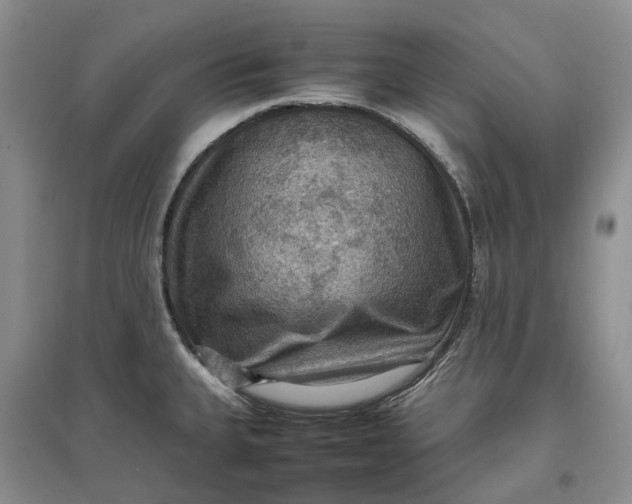 X0000097601335200803141908
