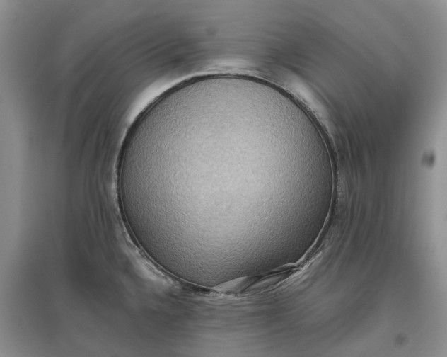 X0000097601336200803141908