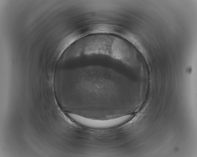 X0000097601337200803141908