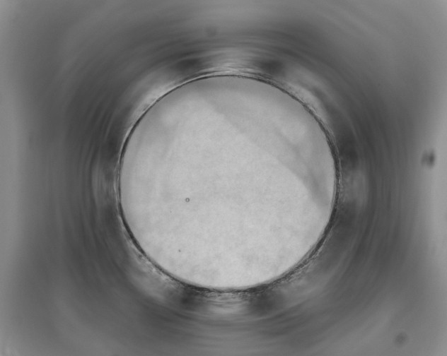 X0000097601338200803141908