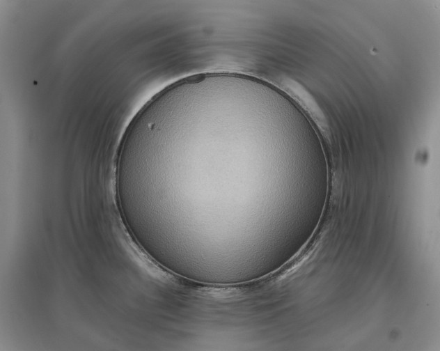 X0000097601340200803141908