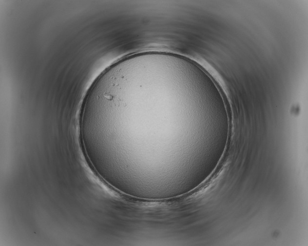 X0000097601341200803141908