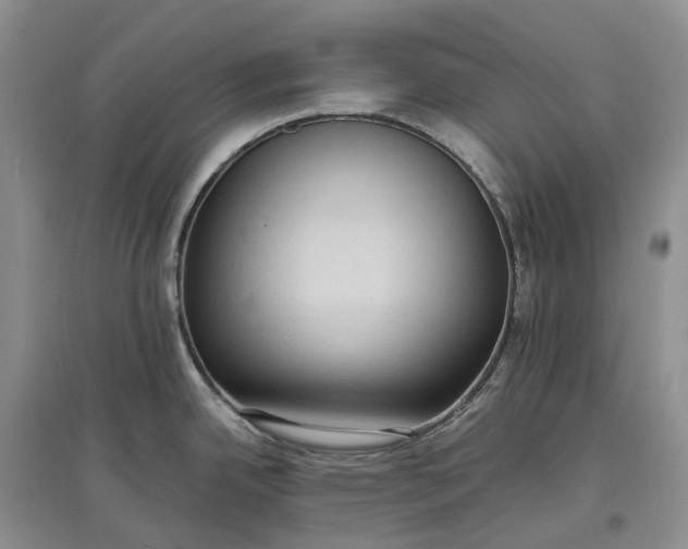 X0000097601342200803141908