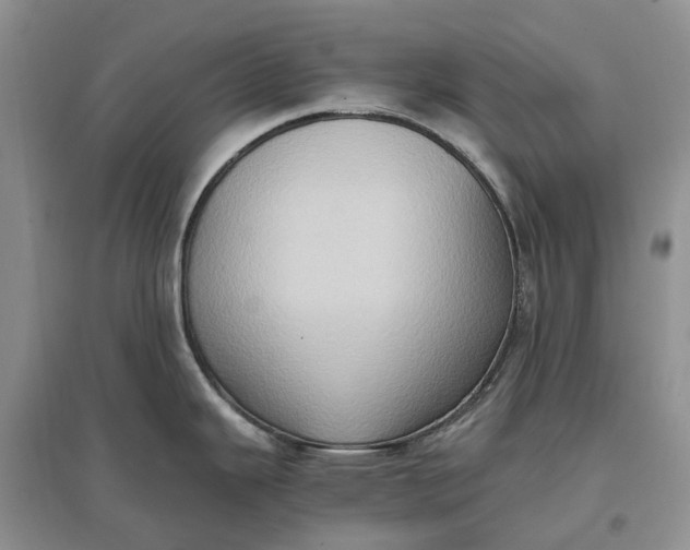 X0000097601343200803141908
