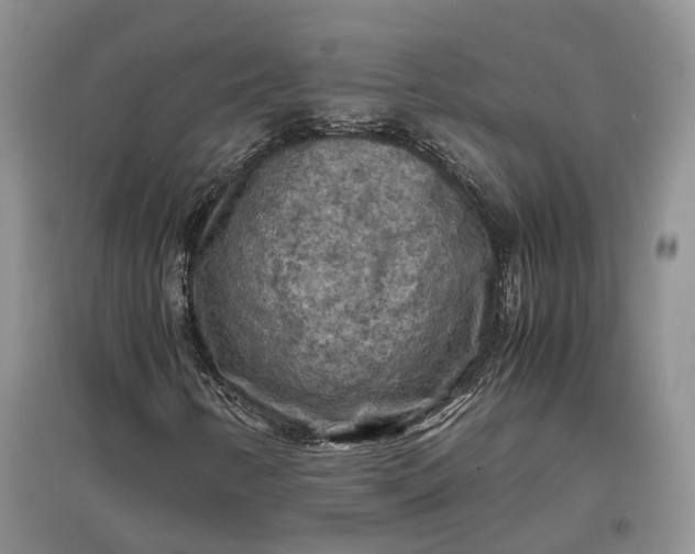 X0000097601346200803141907