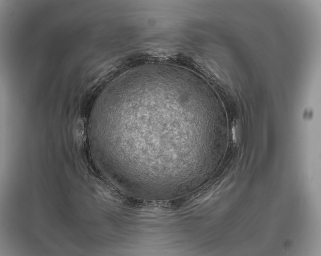 X0000097601347200803141907