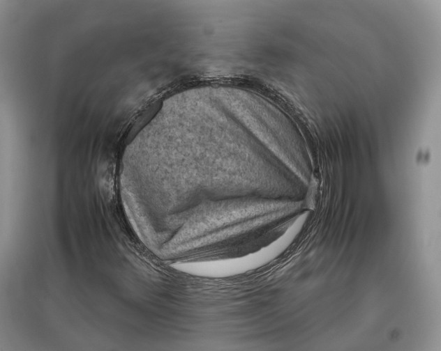 X0000097601348200803141907