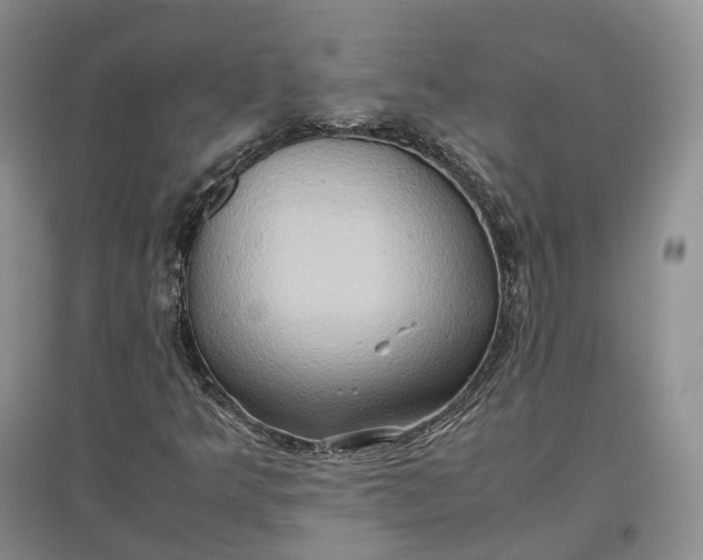 X0000097601349200803141907