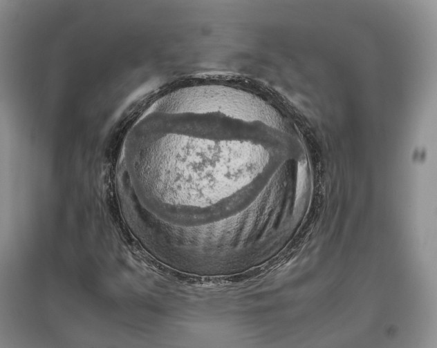 X0000097601351200803141907