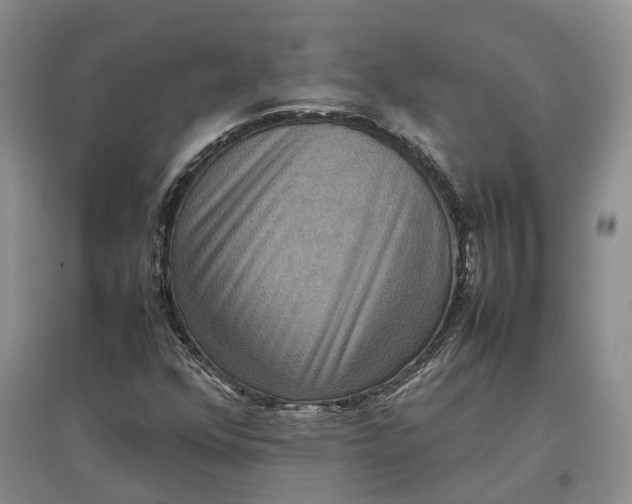 X0000097601352200803141907