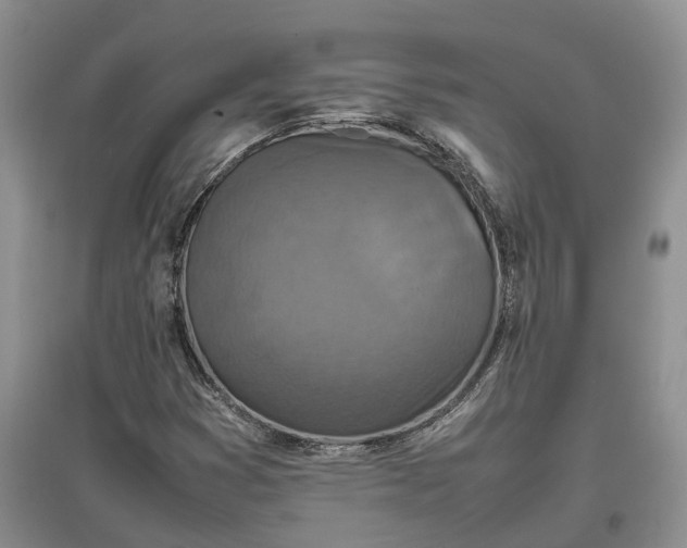 X0000097601353200803141907
