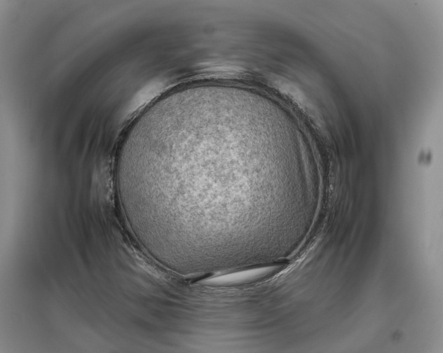 X0000097601354200803141907