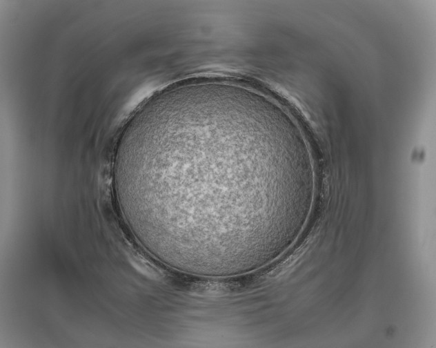 X0000097601355200803141907
