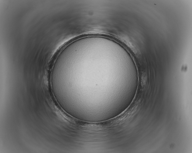 X0000097601356200803141907