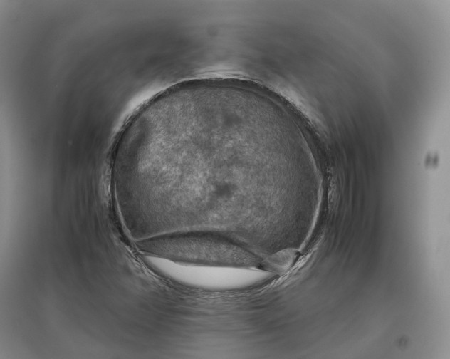 X0000097601358200803141907