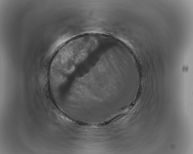 X0000097601359200803141907