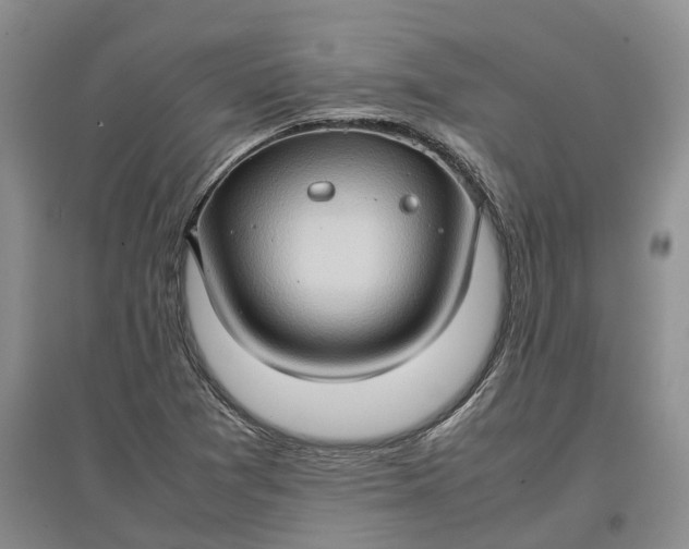 X0000097601361200803141907