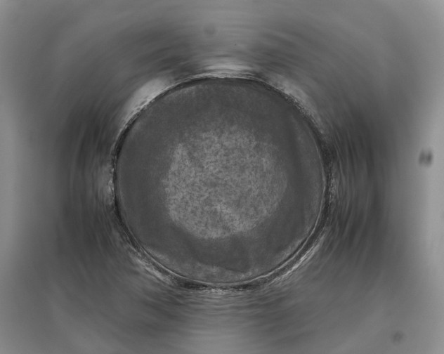 X0000097601362200803141907