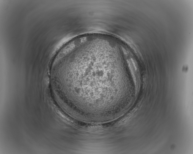 X0000097601363200803141907