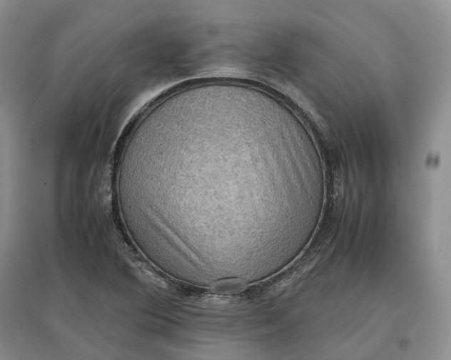 X0000097601364200803141907