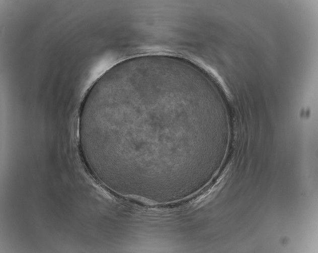 X0000097601365200803141907