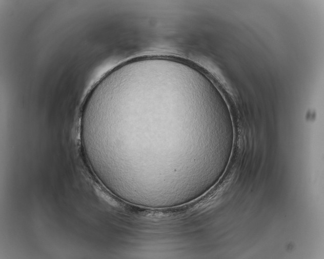 X0000097601366200803141907
