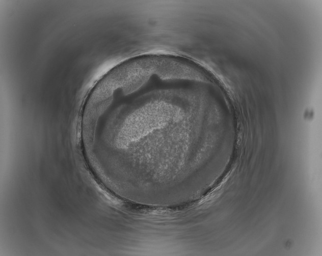 X0000097601367200803141907