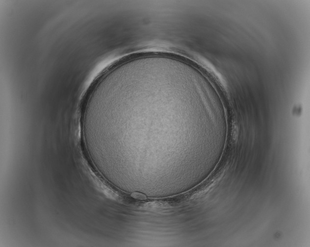 X0000097601368200803141907