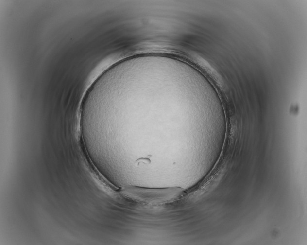 X0000097601370200803141907