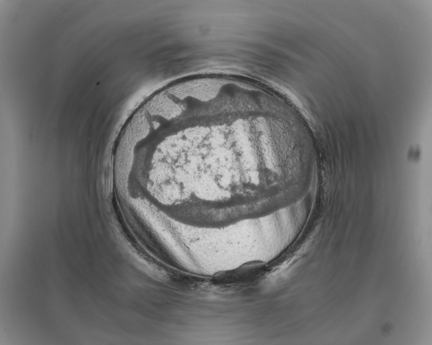 X0000097601371200803141907