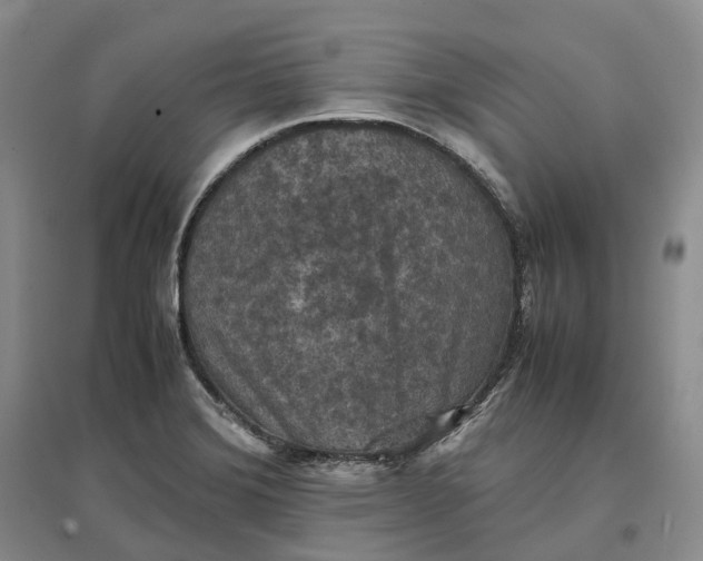 X0000097601372200803141907