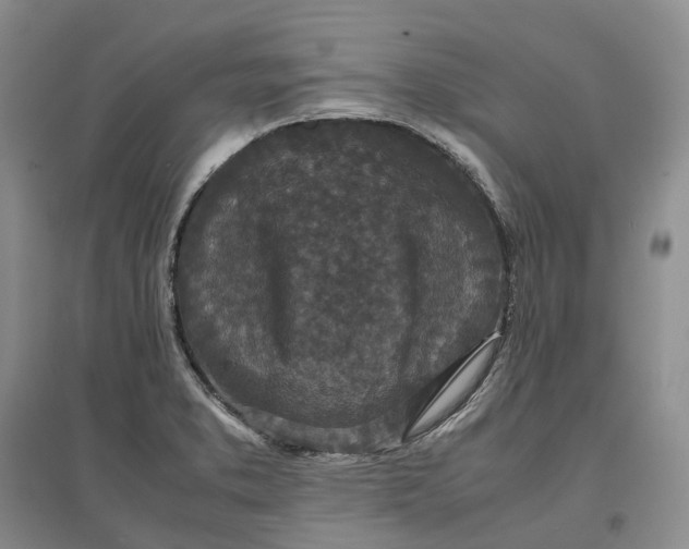 X0000097601373200803141907
